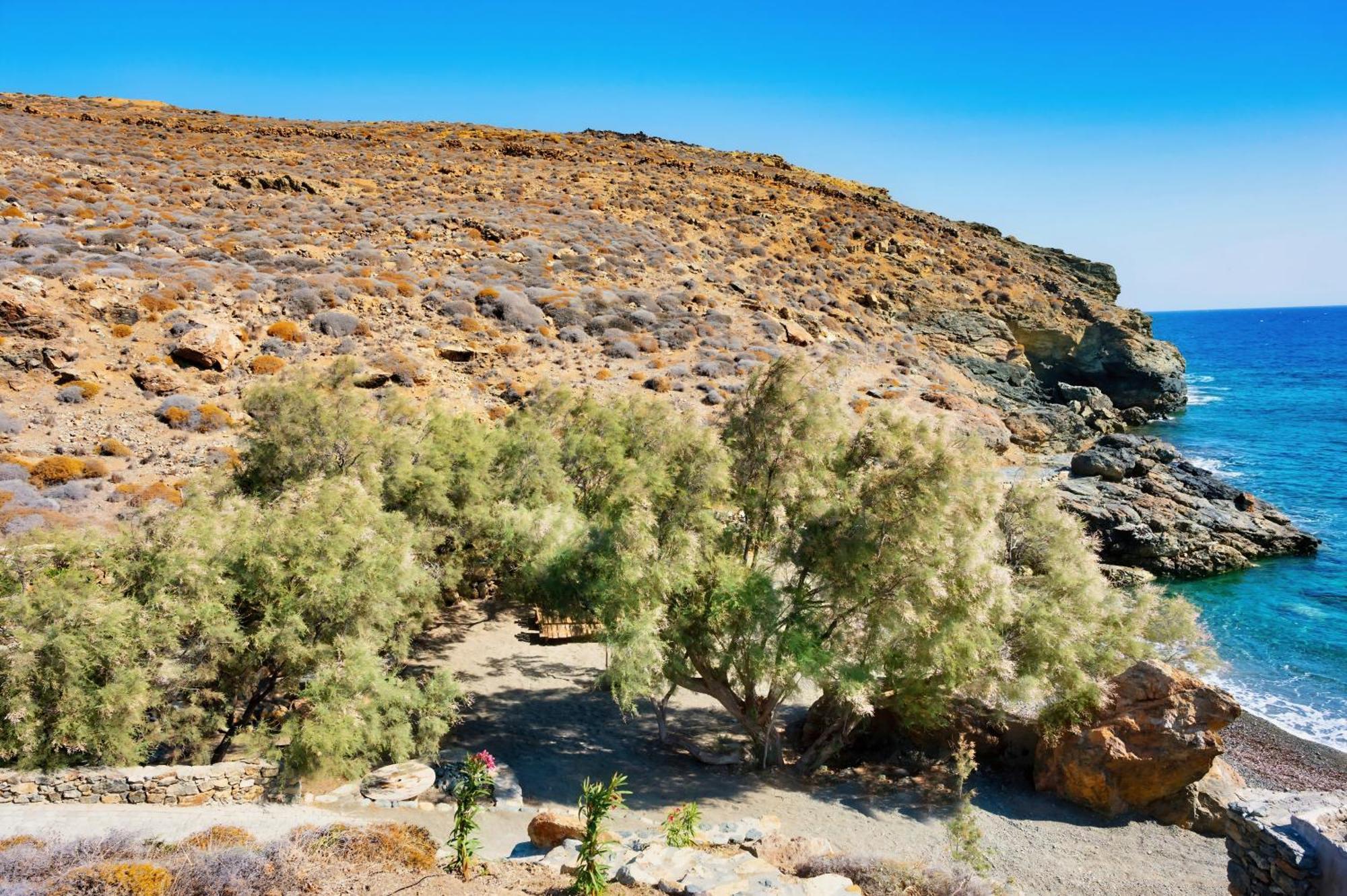 מלון Merchia Beach Semeli Coast Mykonos Curio Collection By Hilton מראה חיצוני תמונה
